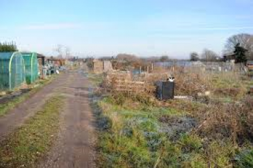 debenham allotments